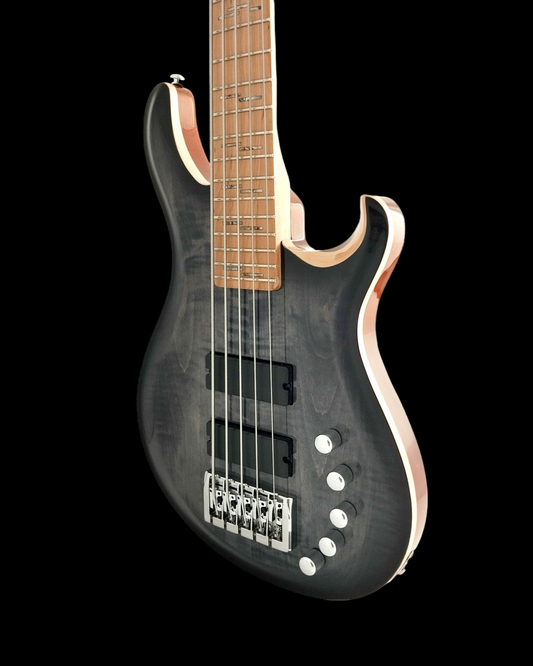 An Exquisite 5th String Bass Guitar with Superior Sound Quality BASS5