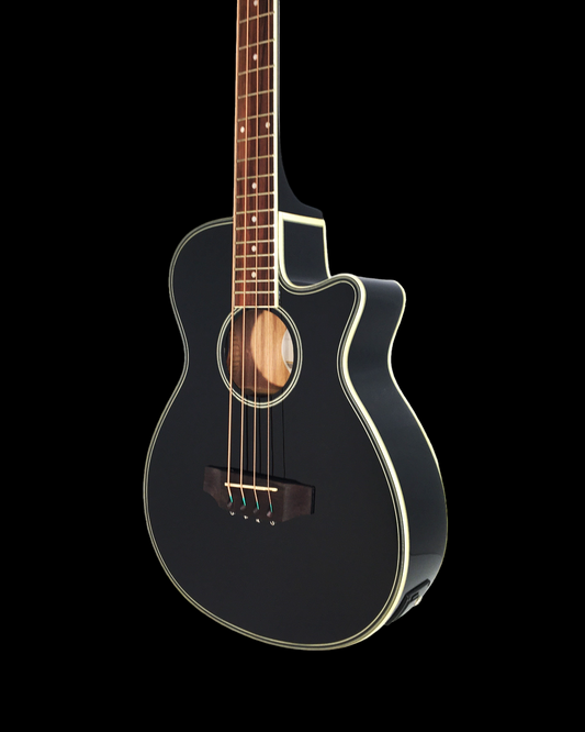 Haze FB711 3/4 Acoustic-Electric Bass – Spruce, Gloss Black