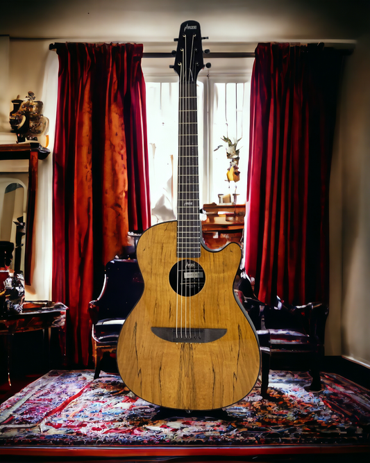 Haze HSDP836CGC Acoustic/Classical Guitar, Spalted Maple Veneer, Round-Back