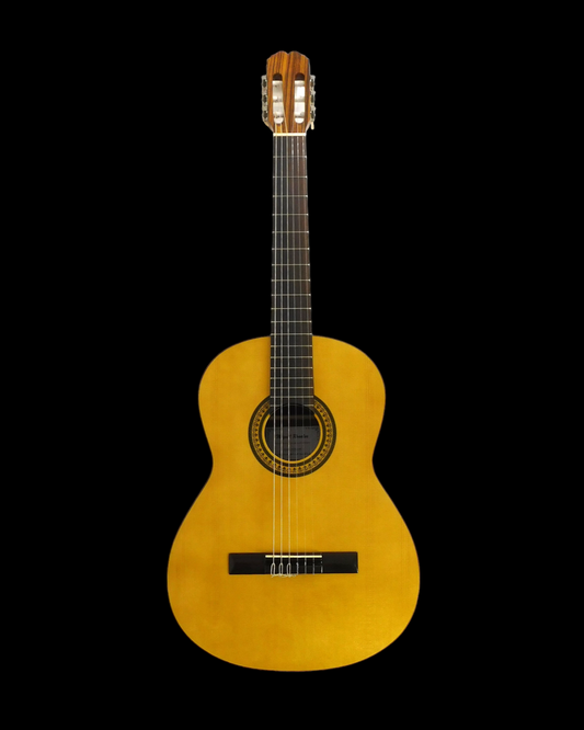 Miguel Rosales Solid Cedar Mahogany Nylon String Classical Guitar - Natural MR9