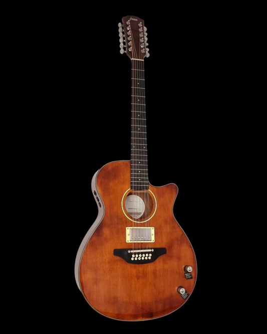 Haze SDG82812CHEQNB Hybrid Acoustic – Electric 12 string Guitars Humbucker Saddle Height Adjustable - Brown