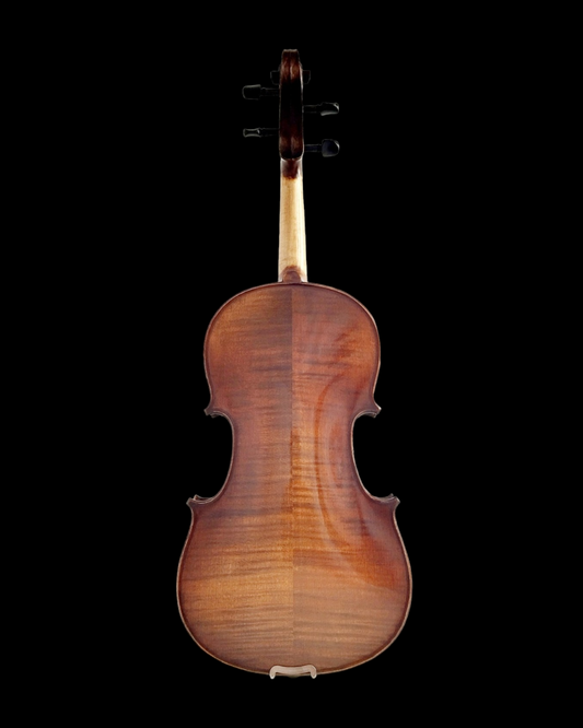 Enraptured Melodies: The AA80 Symphony Viola