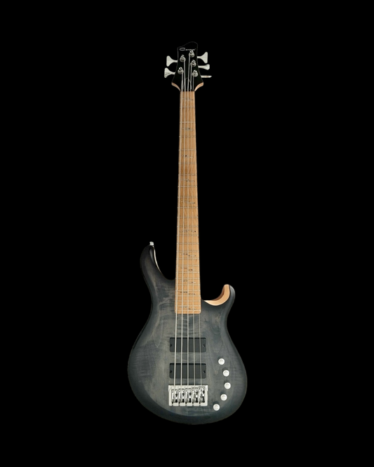 An Exquisite 5th String Bass Guitar with Superior Sound Quality BASS5