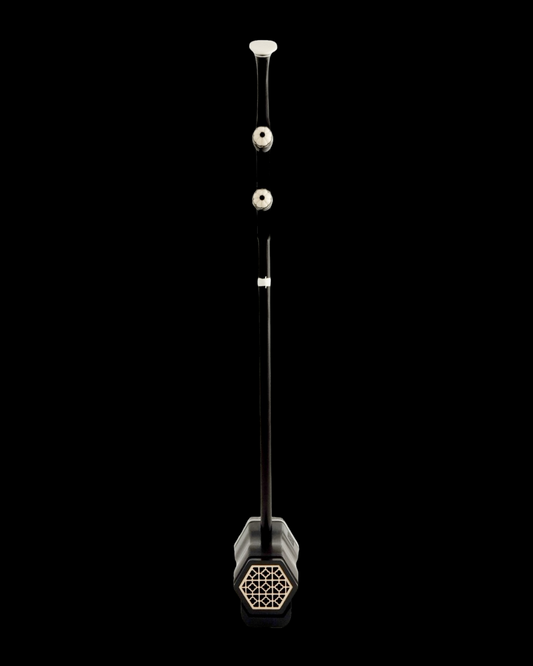 RW700 Black Rosewood Dragon Chinees Erhu with Hardcase