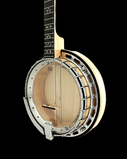 The Harmony of Tradition and Innovation BJ009AM 5-String Banjo