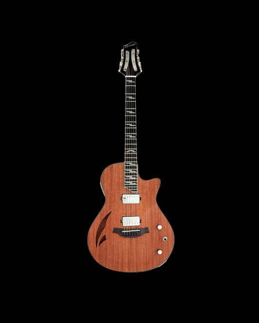 The Swiss Army Knife of Hybird Electric-Acoustic Guitars MULTISPECIALIST2