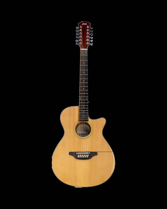 Haze SDG82712CEQSN 12-String Saddle Height Adjustable Built-In Pickup/Tuner Acoustic Guitar - Natural