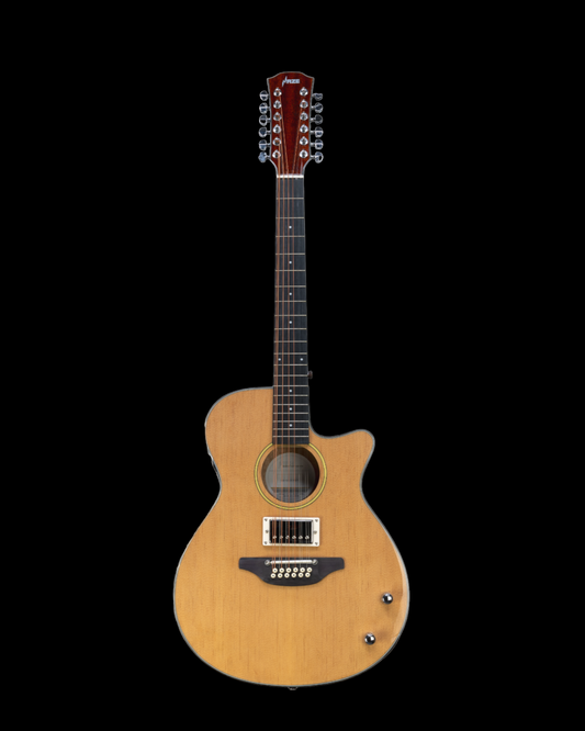 Haze SDG82812CHEQSN Hybrid Acoustic – Electric 12 string Guitars Humbucker Saddle Height Adjustable - Natural
