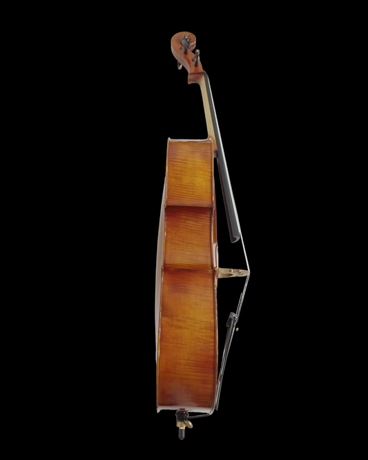 Symphony SJCE04 4/4 Solid wood handmade cello outfit, ebony fittings
