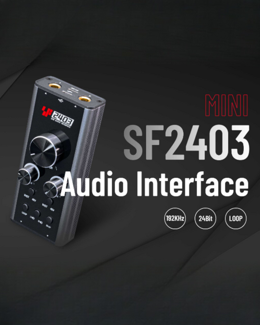 Simplefly SF2403 Dual-Channel USB-C Analog Audio Interface : 24bit/192kHz AD/DA Conversion / 48V Phantom Power Supply / Pre-Amp