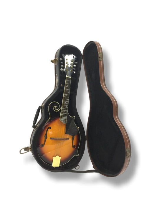 Haze Mandolin Hard Case with Lock - Black HK19601MDF