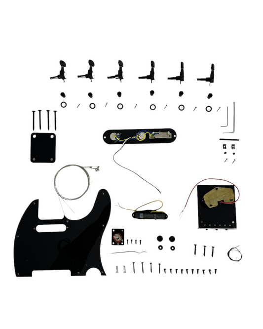 TL19100PPBK Black Electric Guitar Hardware Accessories Parts